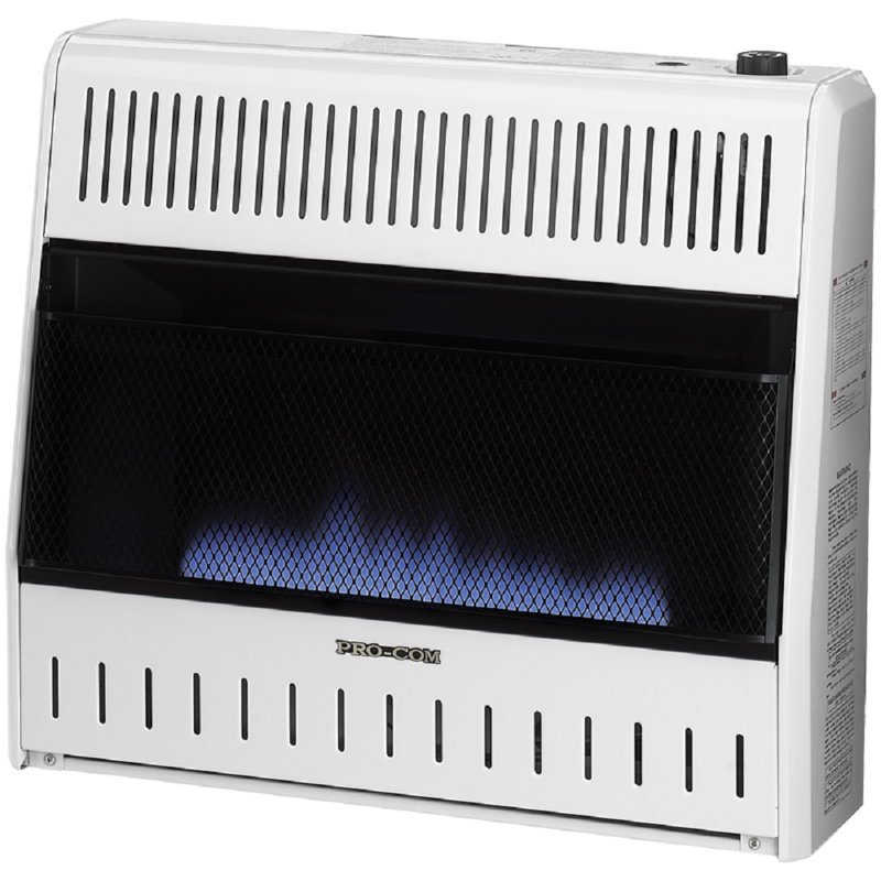 Heating Dual Fuel Ventless Blue Flame Gas Space Heater With